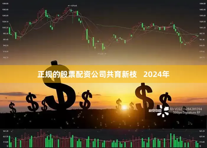 正规的股票配资公司共育新枝   2024年