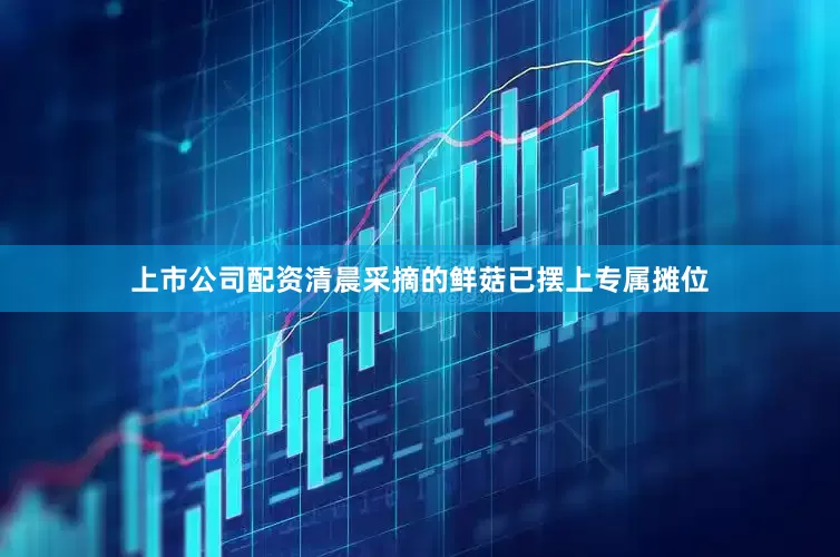 上市公司配资清晨采摘的鲜菇已摆上专属摊位