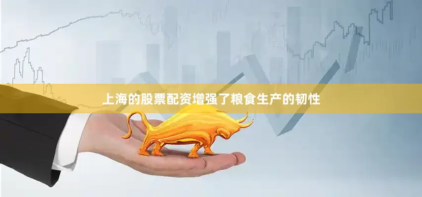 上海的股票配资增强了粮食生产的韧性