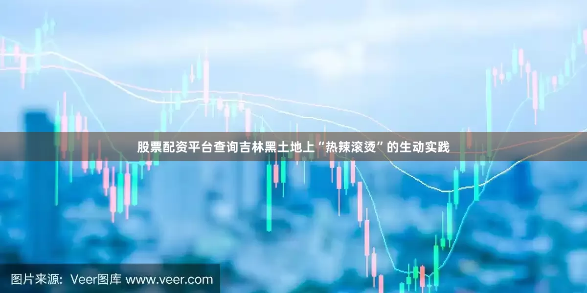 股票配资平台查询吉林黑土地上“热辣滚烫”的生动实践