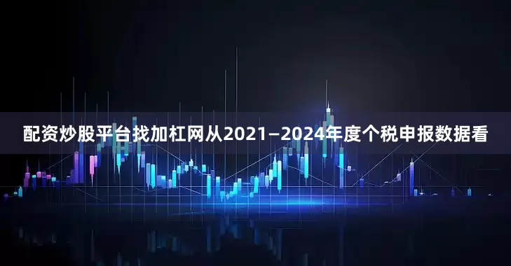 配资炒股平台找加杠网从2021—2024年度个税申报数据看