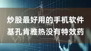 炒股最好用的手机软件基孔肯雅热没有特效药